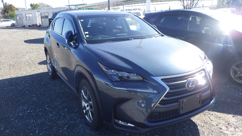 Lexus NX 2014