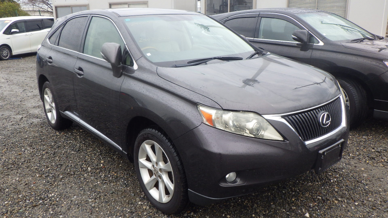 Lexus RX 2010