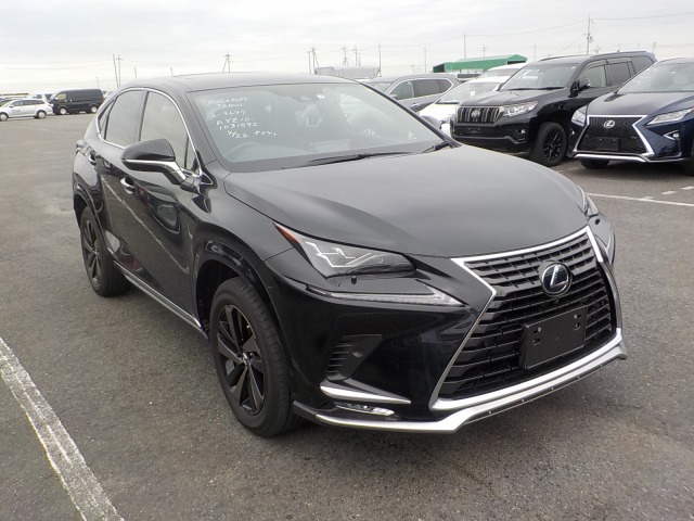 Lexus NX 2021