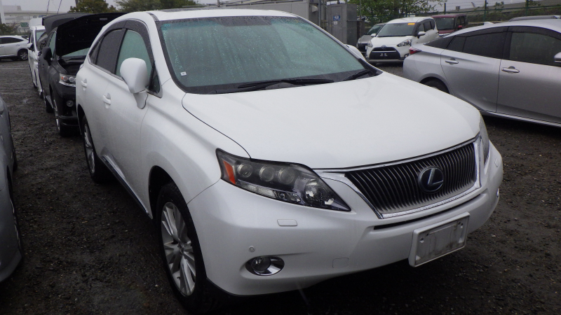 Lexus RX 2010