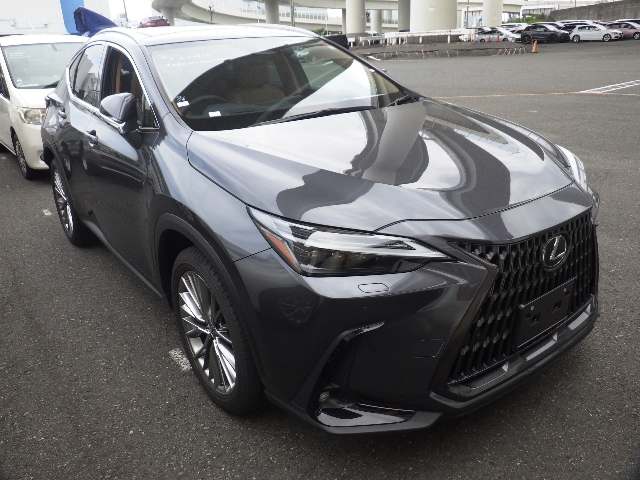 Lexus NX 2023